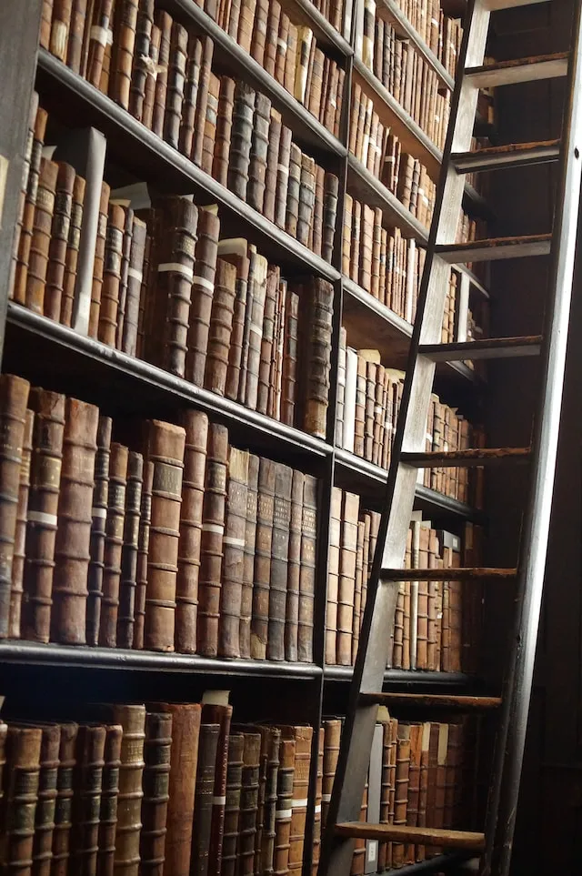 A bookcase containing old, leather-bound books